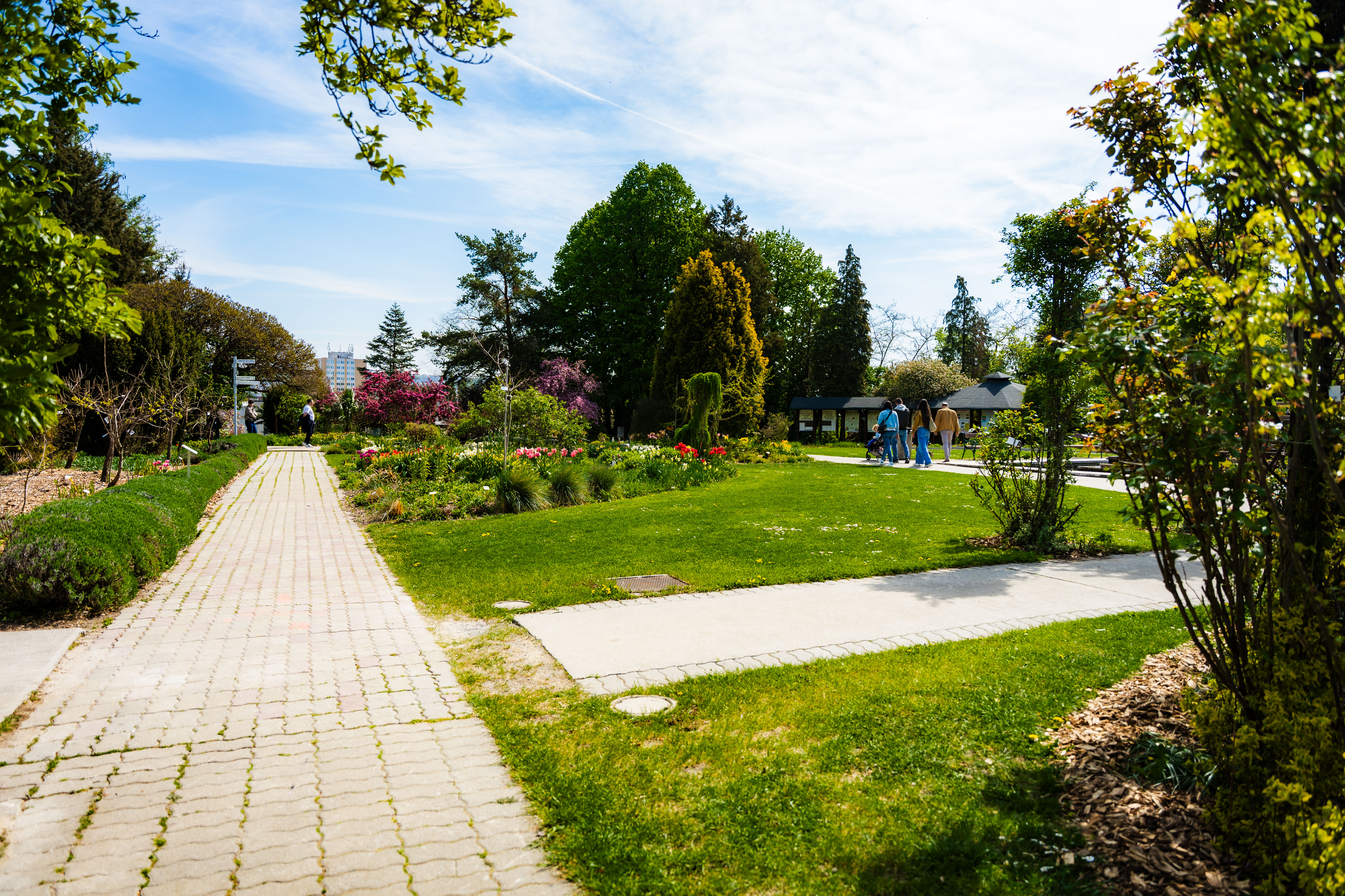 Slavnostne zasadenie stromu do Aleje vyznamnych osobnosti Botanickej zahrady UPJS-1-37